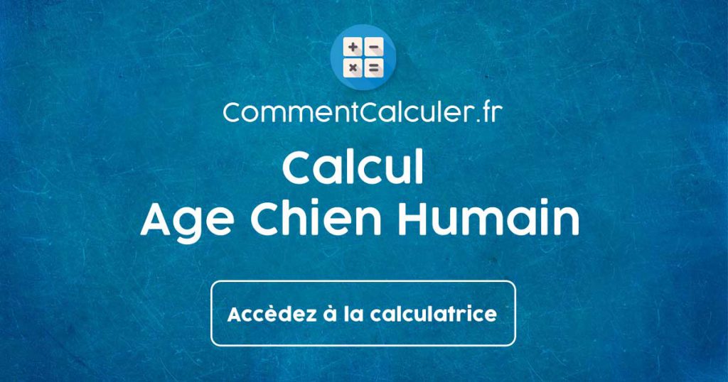 Calcul Age Chien Humain